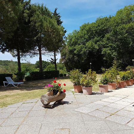 Locanda Il Boschetto Volterra Kültér fotó
